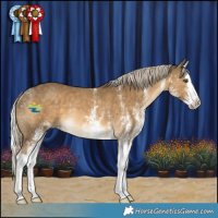 Horse Color:White Spotted Chocolate Palomino Mushroom Splash Rabicano 