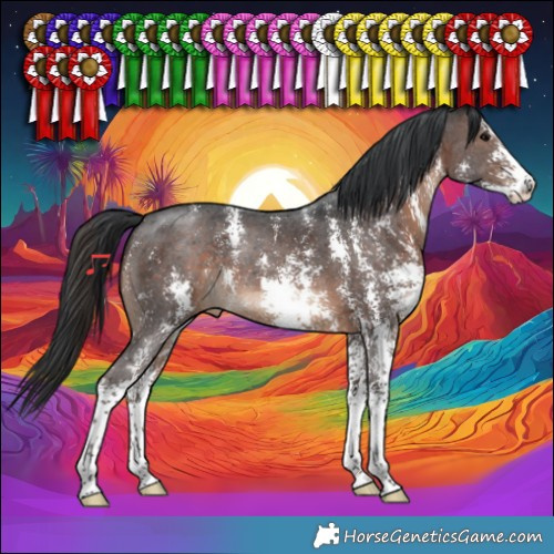 Horse Color:Brown Sabino 