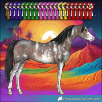 Horse Color:Brown Sabino 