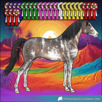 Horse Color:Brown Sabino