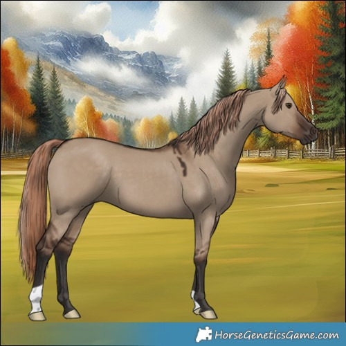 Horse Color:Liver Red Dun 