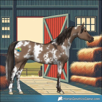 Horse Color:White Spotted Liver Red Dun 