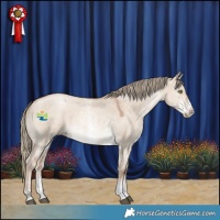 Horse Color:Liver Red Dun Pearl Mushroom Sabino 