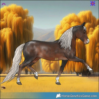 Horse Color:Liver Chestnut Mushroom Rabicano 
