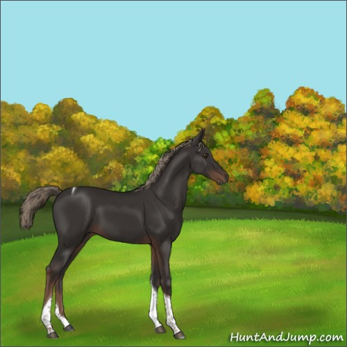 Horse Color:Liver Chestnut Tobiano 