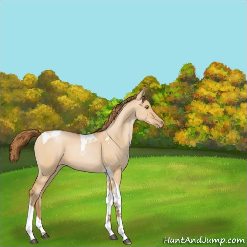Horse Color:Bay Pearl Dun Tobiano 
