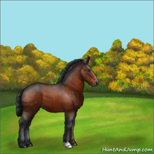 Horse Color:Brown 