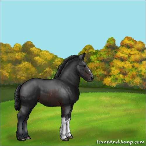 Horse Color:Brown 
