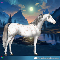 Horse Color:Bay Leopard