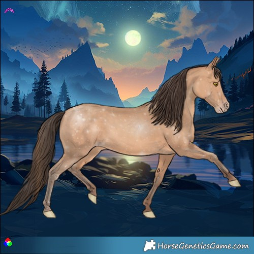 Horse Color:Amber Champagne