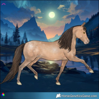 Horse Color:Amber Champagne 