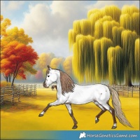 Horse Color:Liver Red Dun Near Fewspot Brindle 