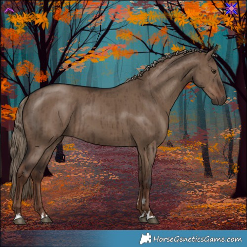 Horse Color:Liver Red Dun Brindle 