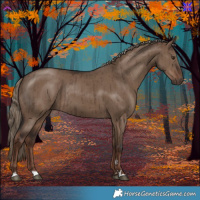 Horse Color:Liver Red Dun Brindle 