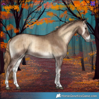 Horse Color:Liver Red Dun Onyx Brindle 