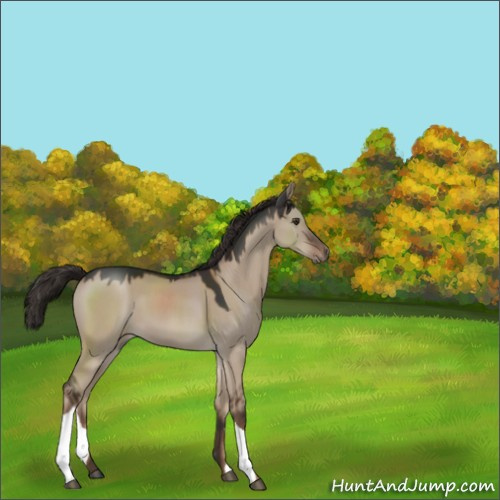 Horse Color:Liver Red Dun 