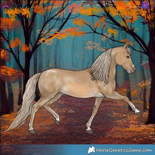 Horse Color:Chocolate Palomino Dun 