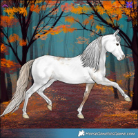 Horse Color:Red Dun Sabino 