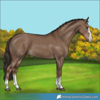 Horse Color:Liver Red Dun 