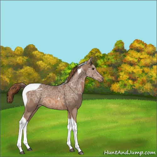 Horse Color:Chestnut Ice Tobiano 