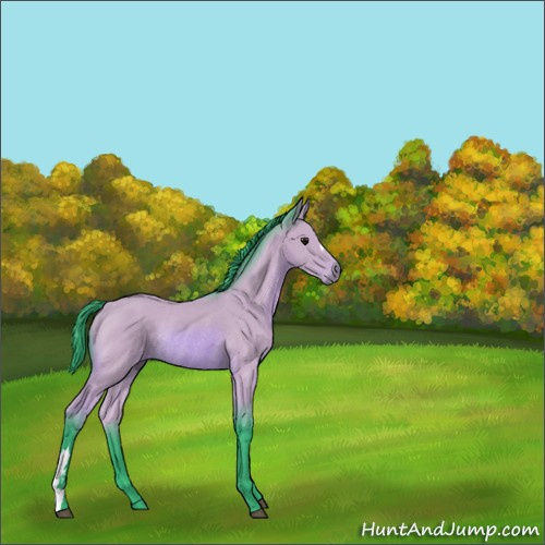 Horse Color:Watercolor Bay Rabicano 