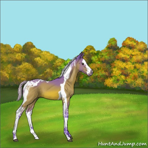 Horse Color:Watercolor Silver Brown Splash Tobiano 