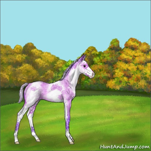 Horse Color:Watercolor White Spotted Silver Bay Roan Splash 