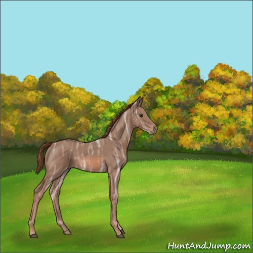 Horse Color:Chestnut Ice 