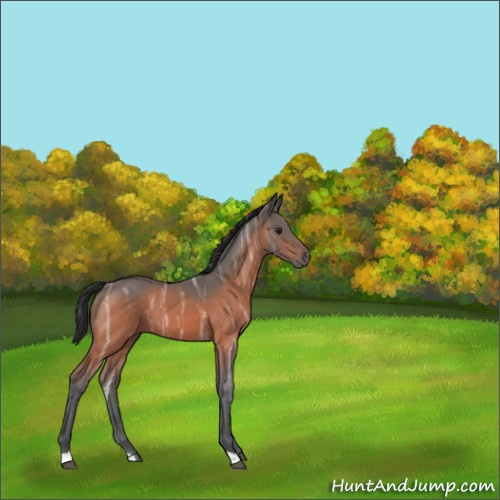 Horse Color:Brown Ice 