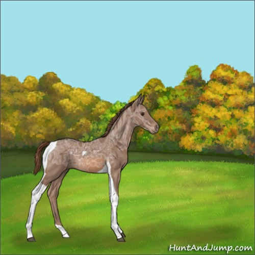 Horse Color:Chestnut Ice Tobiano 