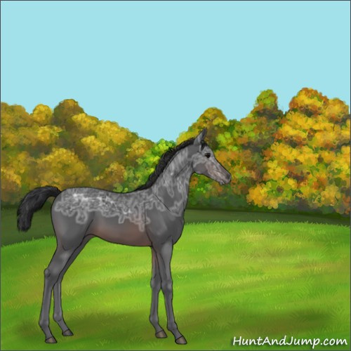 Horse Color:Brown Ice 