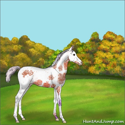 Horse Color:Watercolor White Spotted Silver Bay Splash Tobiano 