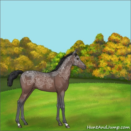 Horse Color:Brown Ice 