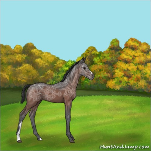 Horse Color:Brown Ice 