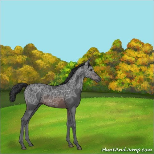 Horse Color:Brown Ice 