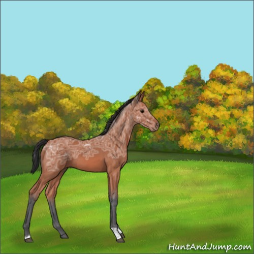 Horse Color:Bay Ice Tobiano Rabicano 