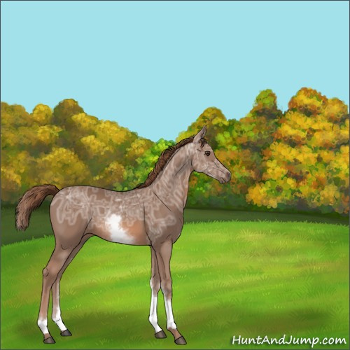 Horse Color:White Spotted Chestnut Ice 
