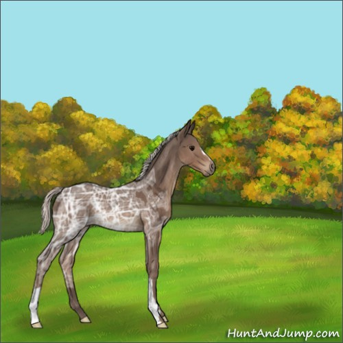 Horse Color:Silver Black Ice 