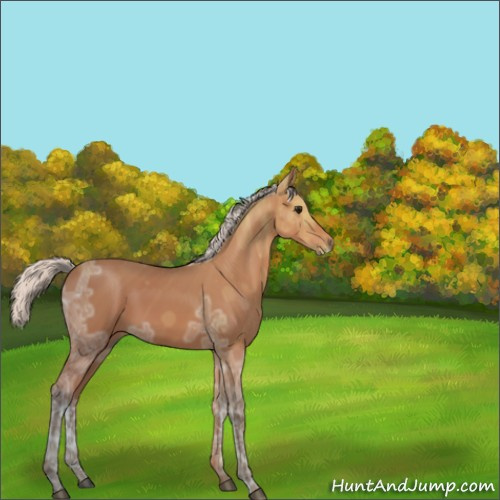 Horse Color:Silver Bay Ice 