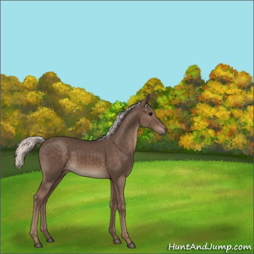 Horse Color:Silver Black 