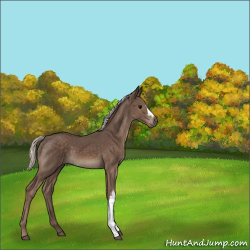 Horse Color:Silver Black 
