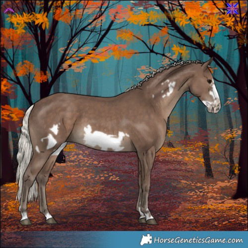 Horse Color:Silver Black Frame 