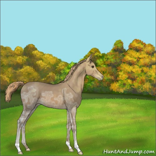 Horse Color:Chestnut Ice 