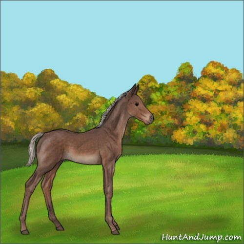 Horse Color:Silver Black 