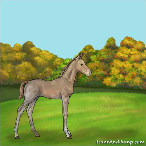 Horse Color:Chestnut Ice 