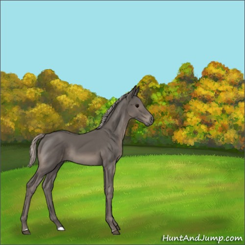 Horse Color:Silver Black 