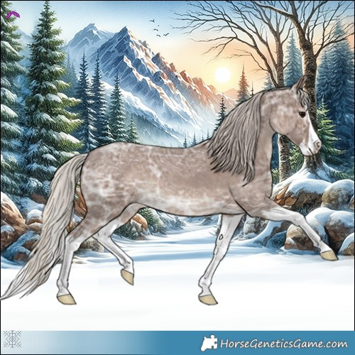 Horse Color:Silver Blue Ice Roan Splash 