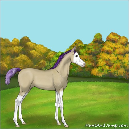 Horse Color:Watercolor Bay Dun Sabino Splash 