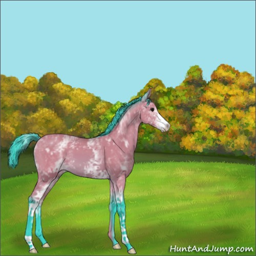 Horse Color:Watercolor White Spotted Bay 