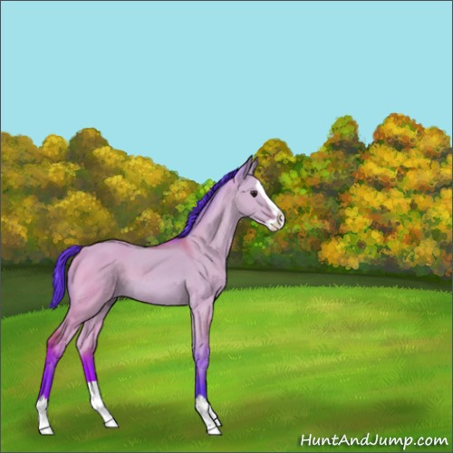 Horse Color:Watercolor Brown Dun Splash 